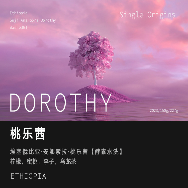 埃塞俄比亚安娜索拉桃乐茜Dorothy酵素水洗处理咖啡豆G1 手冲单品