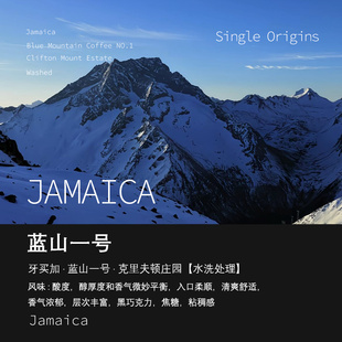 牙买加蓝山一号BlueMountain克里夫顿庄园咖啡豆水洗手冲单品咖啡