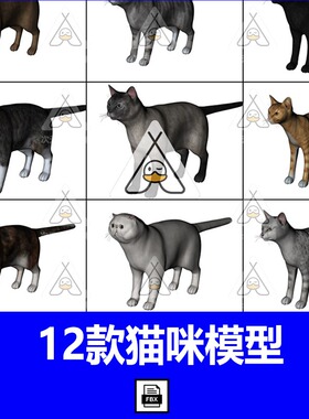 C4D写实小猫单体模型带骨骼绑定FBX动物黑灰色猫咪豹猫3D模型素材