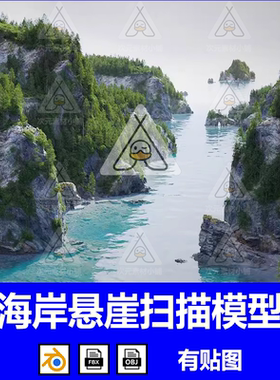 C4D海岸悬崖zbrush岩石海滩obj扫描资产PBR纹理blend模型fbx建模