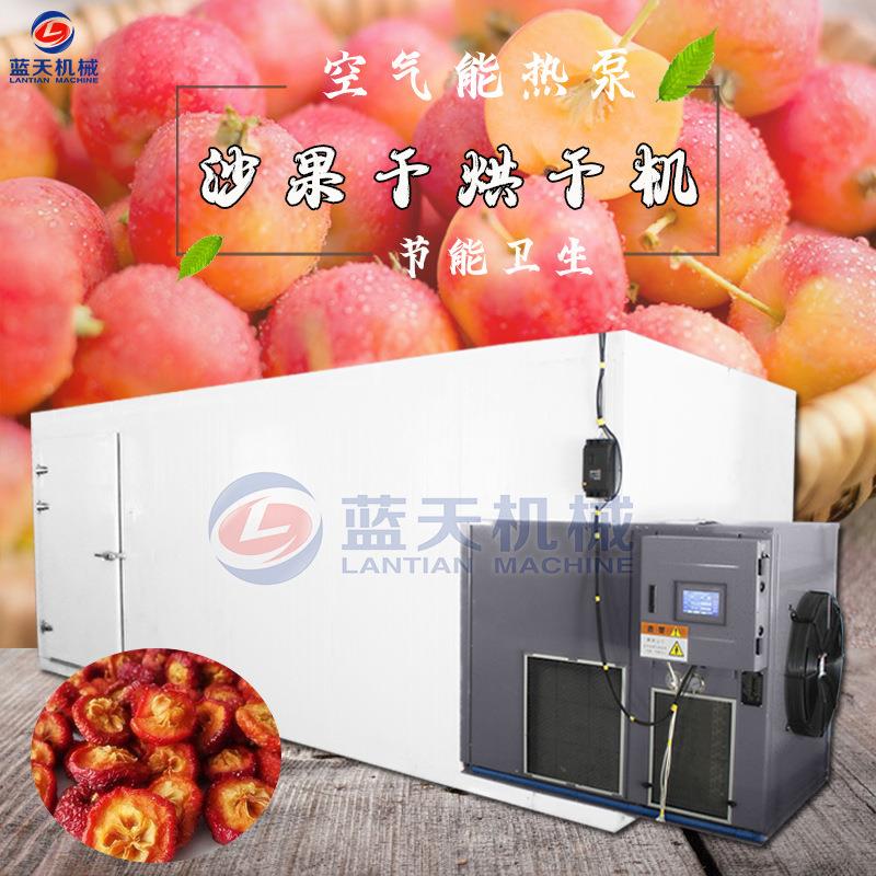空气能沙果干烘干机沙果片脱水干燥机花红果脯苹果干烘烤机