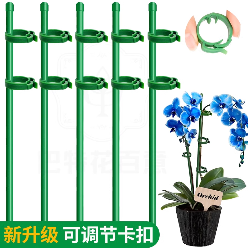植物支撑杆花架园艺兰花专用番茄架子朱顶红防倒伏支架绿植爬藤架
