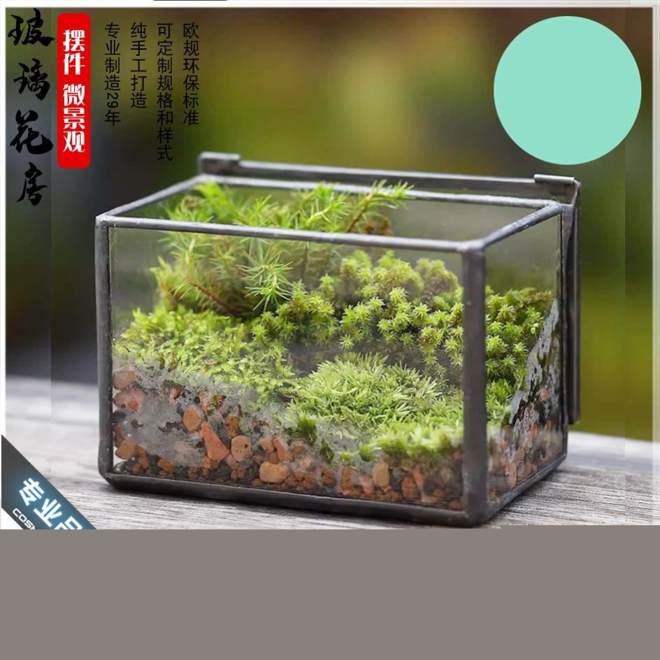 苔藓微景观生态瓶玻璃造景植物盆景办公室桌面盆栽养鱼缸装饰摆件