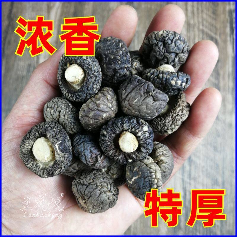 【黑面小香菇】净重金钱菇香菇干货蘑菇新货小个农家冬菇金钱