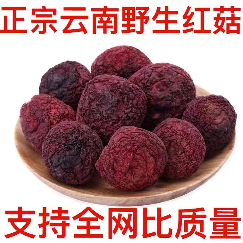 野生红蘑菇月子菇食用菌煲汤红菇正宗红菇新鲜特级农家正红包邮