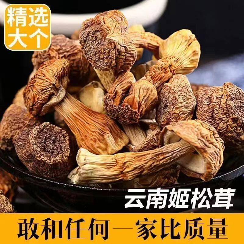 新鲜姬松茸云南特产香格里拉松茸野生菌食用菌菇火锅煲汤食材