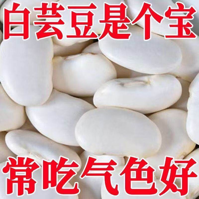 云南大白芸豆正宗白芸豆大扁豆雪豆煮粥煲汤当季新货软糯易煮批发