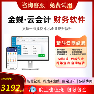 5年多账套 金蝶精斗云会计记账做账代账报表出纳固定资产管理