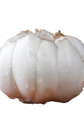 佰城小镇兰州鲜甜百合有坏包赔