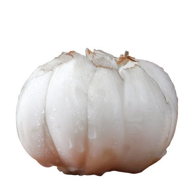 佰城小镇兰州鲜甜百合有坏包赔