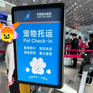 宠物托运服务全国猫咪狗狗空运检疫手续北京上海广州深圳香港证明