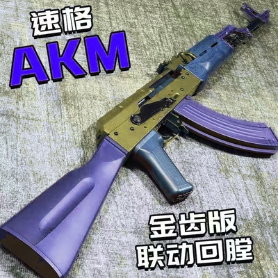 速格akm玩具ak47类型训练解压玩具模型肥肥钢镚特殊地区