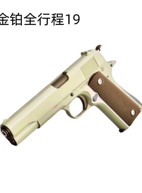 三代19金铂全行程空挂解压解压玩具aqk19科教模型肥肥钢镚