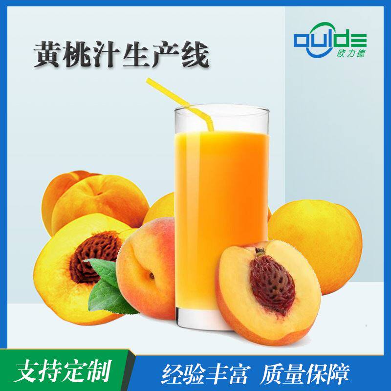 全自动生 产线大小型果汁果酱饮料橙汁生 产线