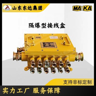煤安认证BHD-10/127-16G隔爆型低压电缆接线盒 电缆引入装置16通