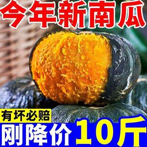 山东正宗贝贝南瓜新鲜板栗味小南瓜栗面整箱老瓜婴儿孕妇粉糯惠和