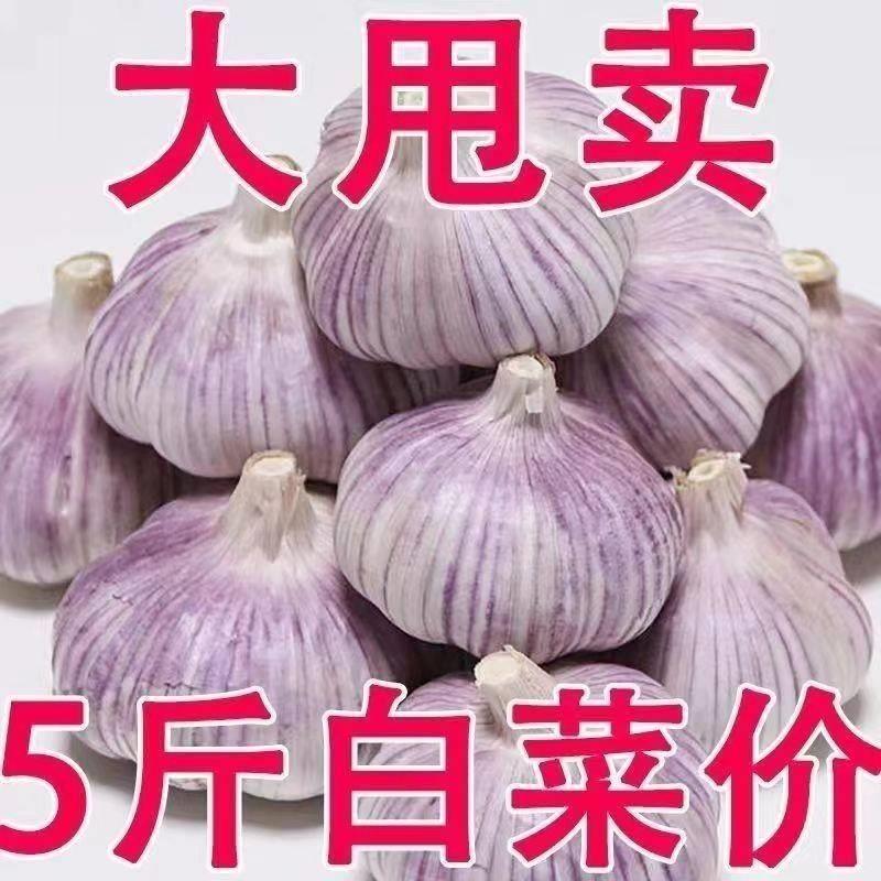 山东新紫干蒜5斤大蒜头农家新大蒜头干蒜5斤紫白皮大蒜当季蔬菜发