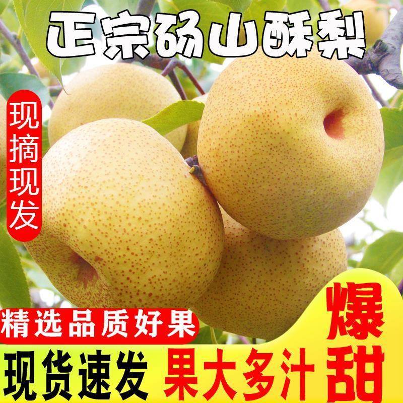 砀山梨酥梨10斤现摘梨子香雪梨应季汤山甜水果梨新鲜整箱包邮当季