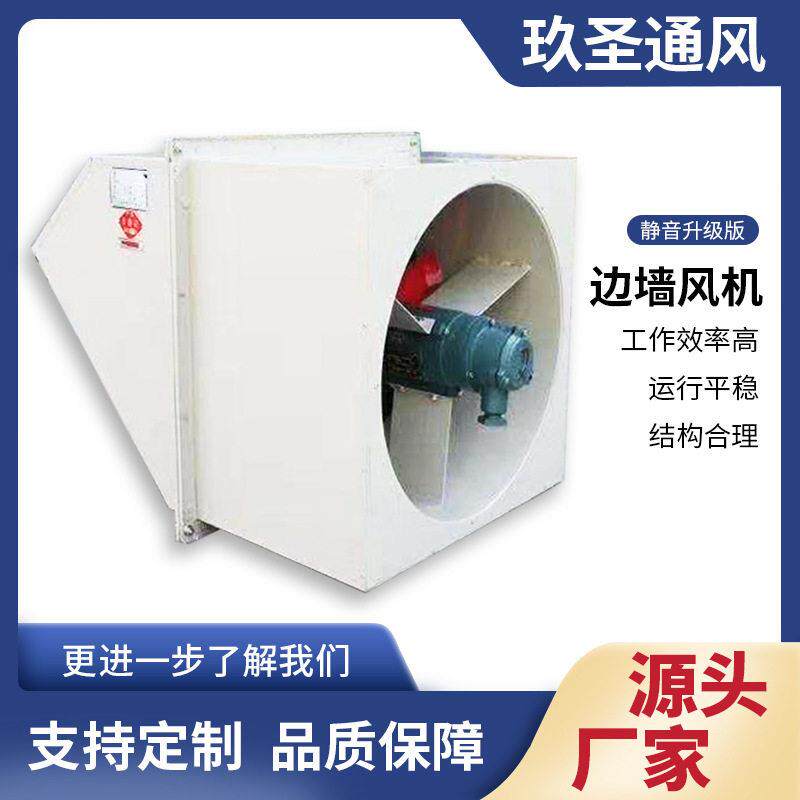 DWEX系列边墙式轴流排风机玻璃钢防爆排烟风机防虫网壁式通风机