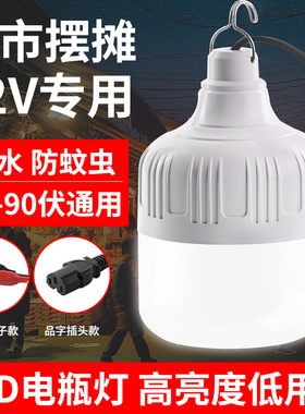 12vled灯摆摊灯夜市灯电动车电瓶灯24伏36V48V60V90V低压直流球泡