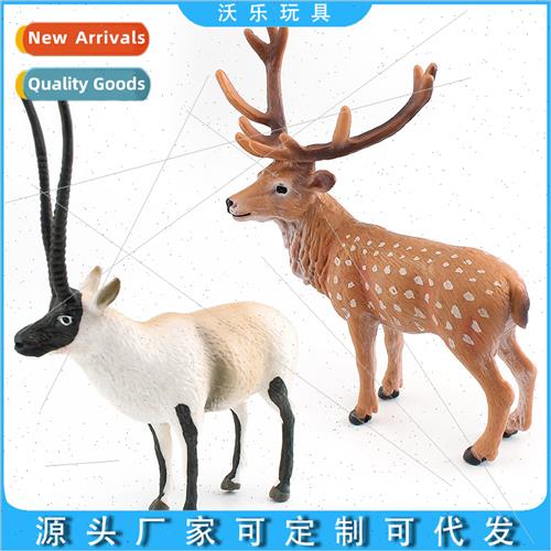 Wild forest animals model ornaments toys适用children science