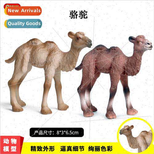 world wildlife desert camel Mongolian camel hmodel toys orna