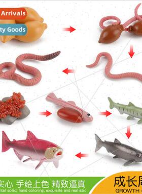 Children early education animal insects earthworms salmon ho