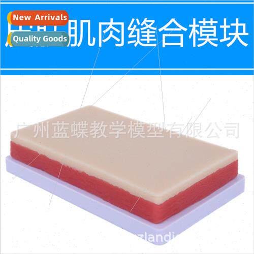 Surgical Suture Practice Module Surgical Training Skin licon