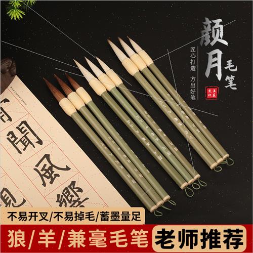 Student Wolf Hair Brush Beginners Training Course Calligraph