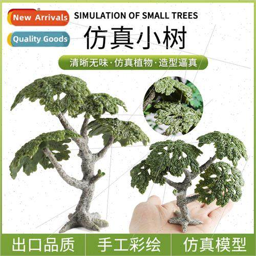 Cognive Tree Model Ficus Sandbox Archecture Tree Model Handm