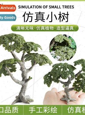 Cognive Tree Model Ficus Sandbox Archecture Tree Model Handm