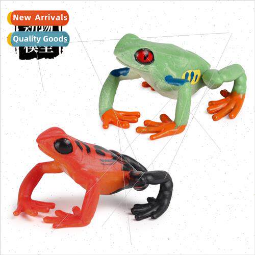 Animal model frogs e frogs frogs frogs toads red arrow poiso