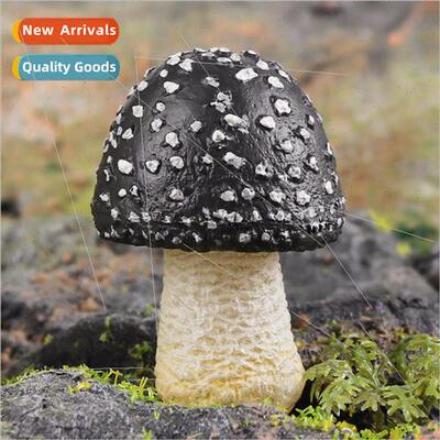 Cognive wild vegetables poisonous rope umbrella mushroom foo