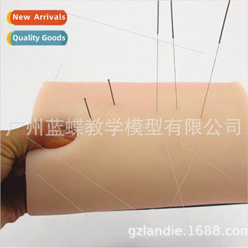 Chinese medicine practice acupuncture training module human