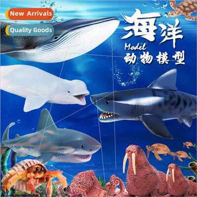 Cognive shark great whe shark megalodon squid blue whale tig