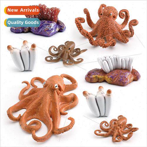 octopus growth cycle model children cognive octopus growth t