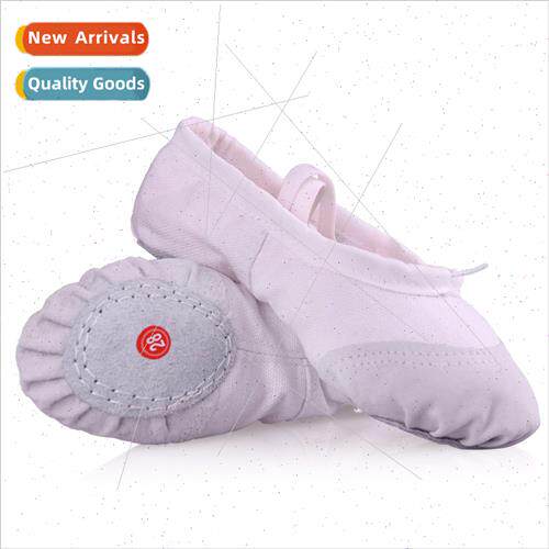 Mens Dance Shoes Cat Claw Two Low Shoes Adult Practice Dance