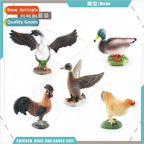 Farm Poultry Chicken Duck Goose Model Children Science Educa