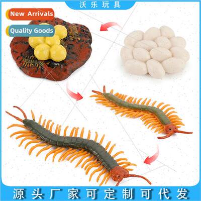 Hundred-footed insects Tianlong life stage simulation wildli