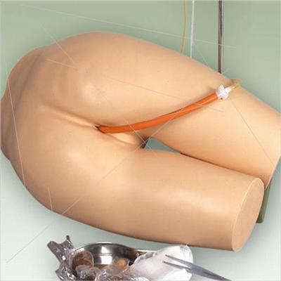 Enema assisted defecation training model/mannequin/simulated