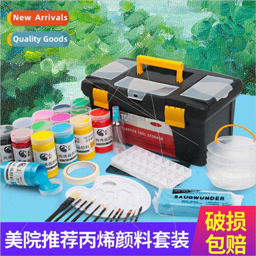 Acrylic Paint Set Dye Painting Beginner Wall HPainting Shoes