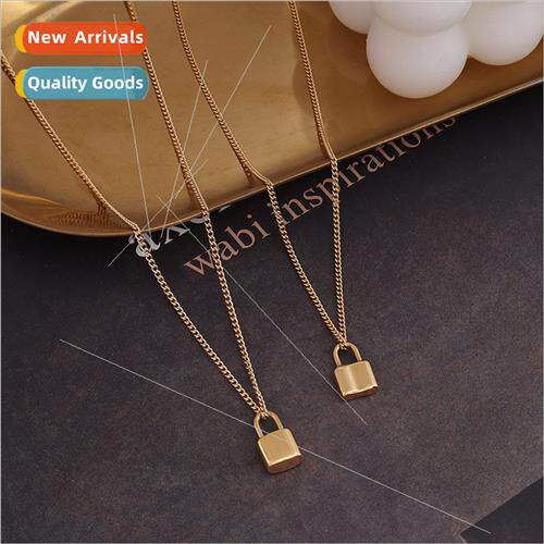 Korea niche necklace accessory tanium steel gold chocker sma