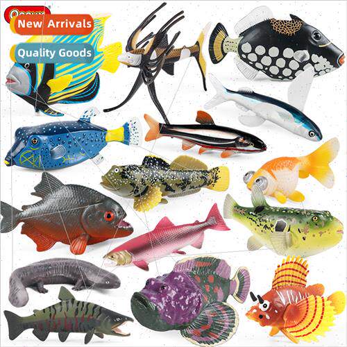 Animal model marine cognive goldfish piranha flying fish puf