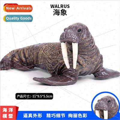 Children toy model new walrus sea creature model hdolls