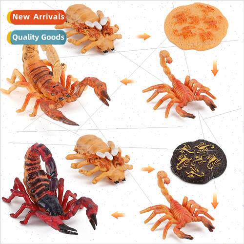 mulation animal growth process cycle ornaments scorpion grow