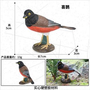 Flying birds birds animals solid model magpie sparrow parrot