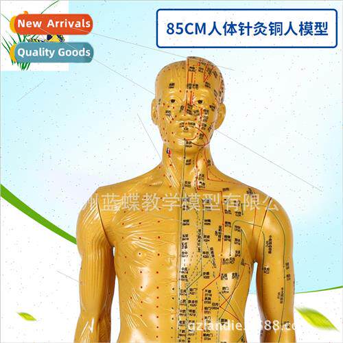 Human acupuncture model/acupuncture bronze model/acupuncture