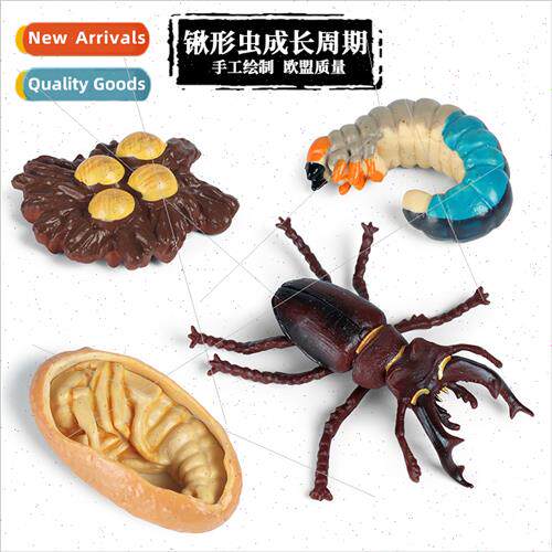 science education simulation animal spade worm butterfly see