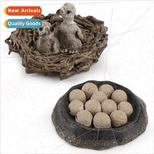 Eagle pups even nest model bird nest children early educatio