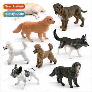 Pet dog dog model Golden Retriever Bulldog Husky Poodle Shib